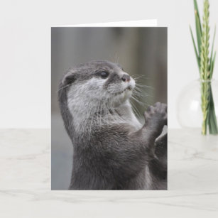 Carte de voeux Otter Mastermind
