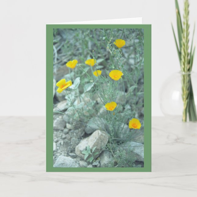 Carte de voeux ou carte de billets pour les fleurs (Devant)