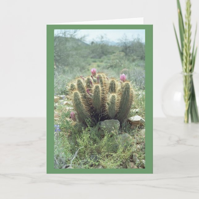 Carte de vœux ou carte de note de cactus Desert Bl (Devant)