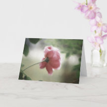 Carte de vœux ou carte de note pour toutes occasio