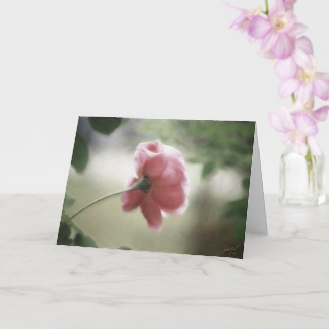Carte de vœux ou de circonstance (Orchidée)