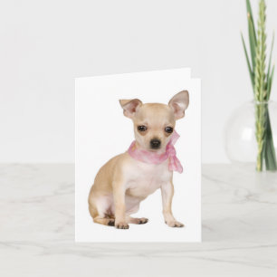 Carte de vœux ou note vierge Chien Chihuahua chiot