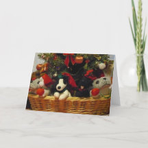 Carte de voeux Panier Puppies