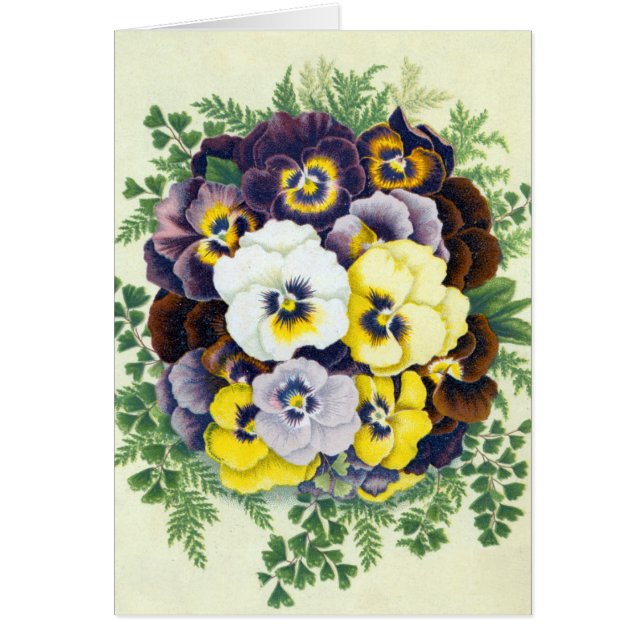 Carte de voeux Pansies (Devant)