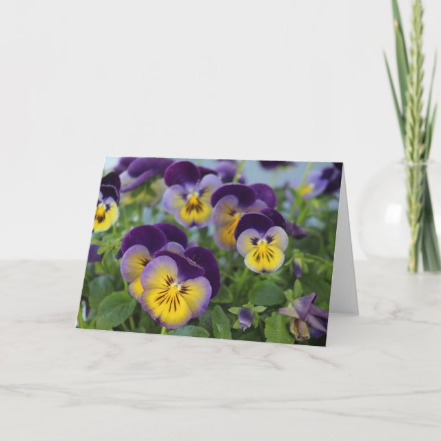 Carte de voeux Pansy (Devant)