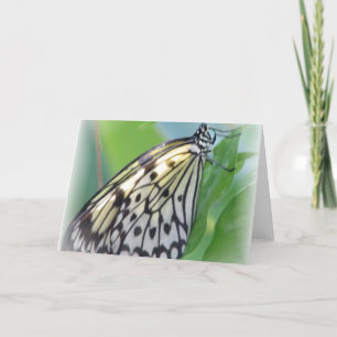 Carte de voeux Papillon