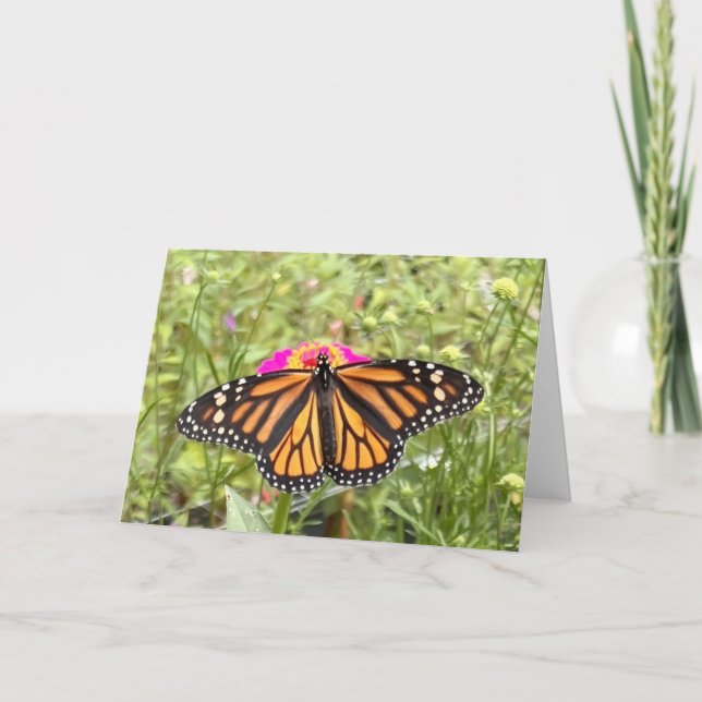 Carte de vœux Papillon Coloré  (Devant)