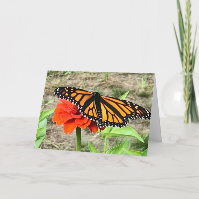 Carte de vœux Papillon Coloré  (Devant)