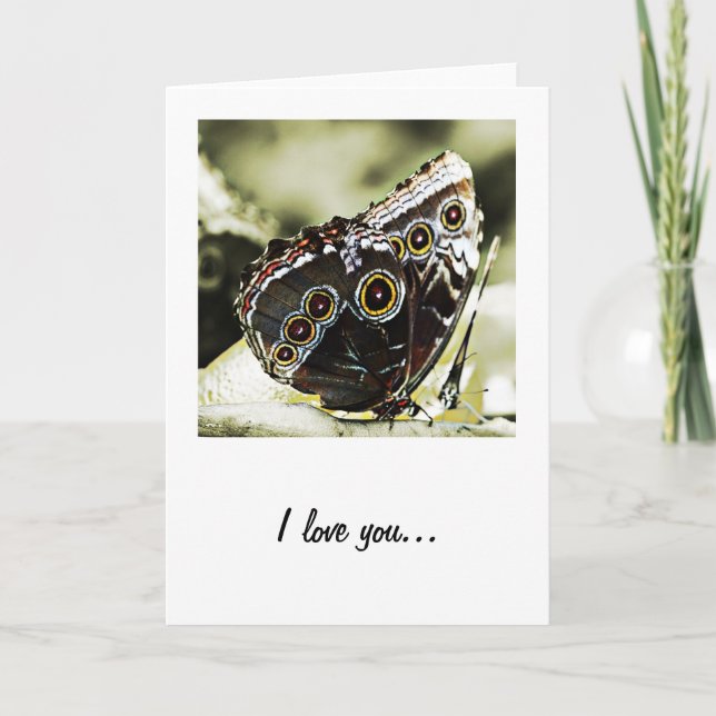 Carte de vœux papillon je t'aime (Devant)