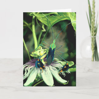 Carte de voeux Passion Flower