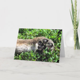 Carte de voeux Paw Cougar