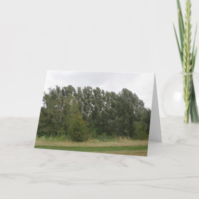 Carte de voeux paysager de la gamme d'arbres pench (Devant)