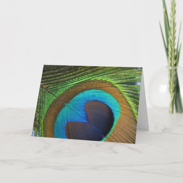 Carte de voeux Peacock Feather - vide à l'intérieu (Devant)