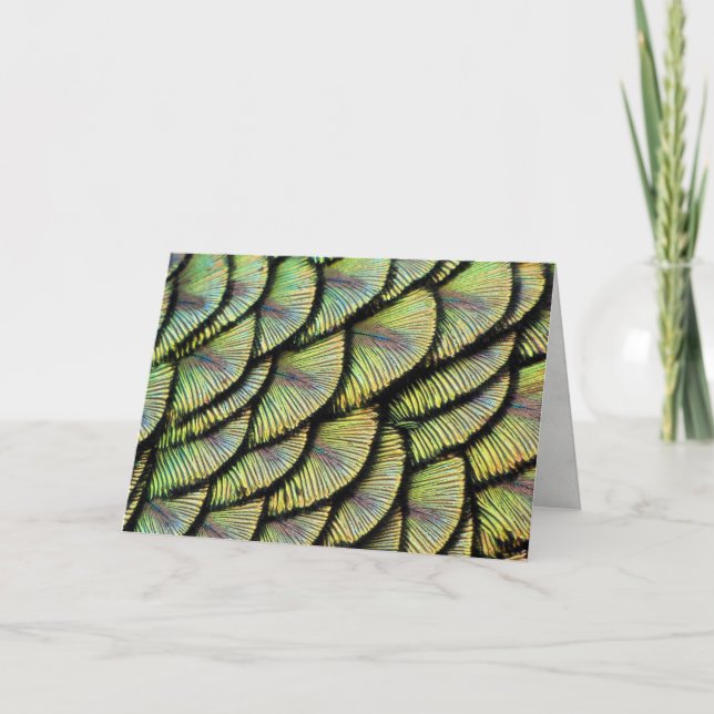 Carte de voeux Peacock Feathers (Devant)