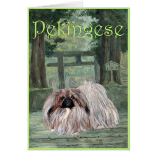 Carte de voeux Pekingese