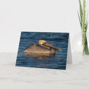 Carte de voeux Pélican reposant dans l'eau