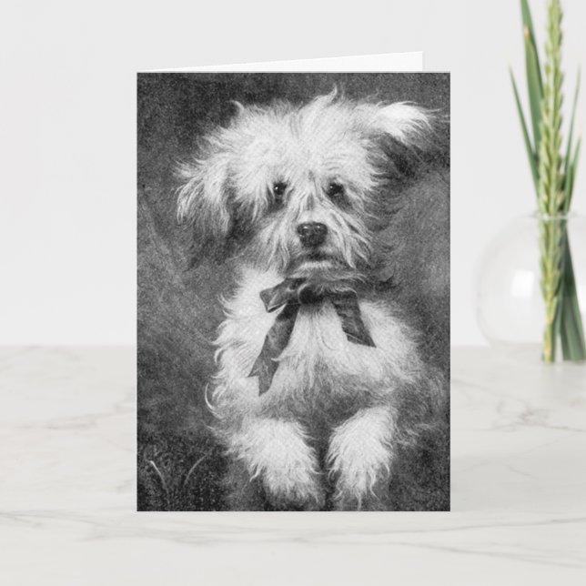Carte de voeux pelucheuse de blanc de chien (Devant)