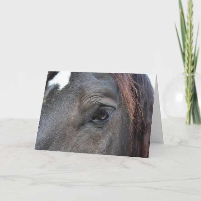 Carte de voeux Percheron Horse (Devant)