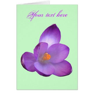 Carte de vœux personnalisable avec de beaux crocus