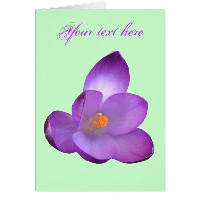 Carte de vœux personnalisable avec de beaux crocus (Devant)