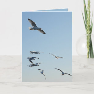 Carte de vœux personnalisable avec des mouettes en