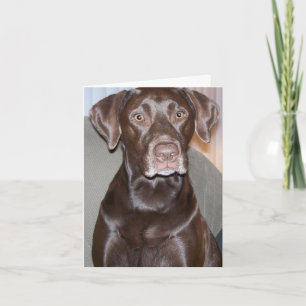 Carte de voeux personnalisée à toutes les occasion