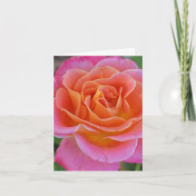 Carte de vœux personnalisée avec une rose rose et