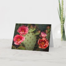 Carte de voeux personnalisée Cactus en fleurs