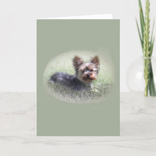 Carte de voeux personnalisée Cute Yorkie Terrier B