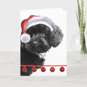 Carte de voeux personnalisée de Noël Père Noël Dog