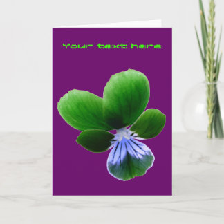 Carte de voeux personnalisée Green Pansy