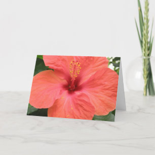 Carte de voeux personnalisée Orange Hibiscus Flowe