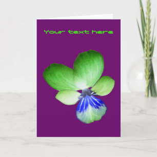 Carte de voeux personnalisée Pansy Vert et Bleu