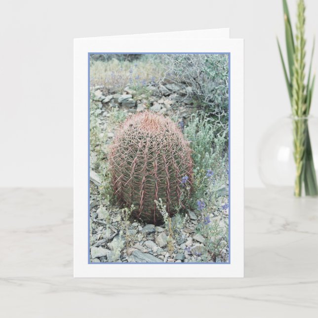 Carte de voeux Pétales Roses (Devant)