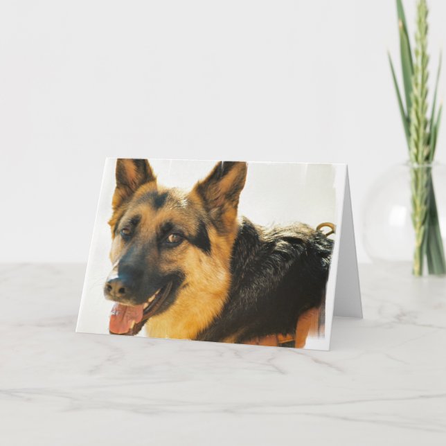 Carte de voeux photo berger allemand chien (Devant)