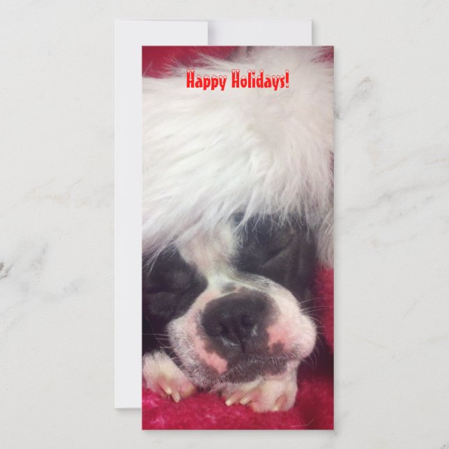 Carte de vœux photo de Boston Terrier Joyeux Noël (Devant)