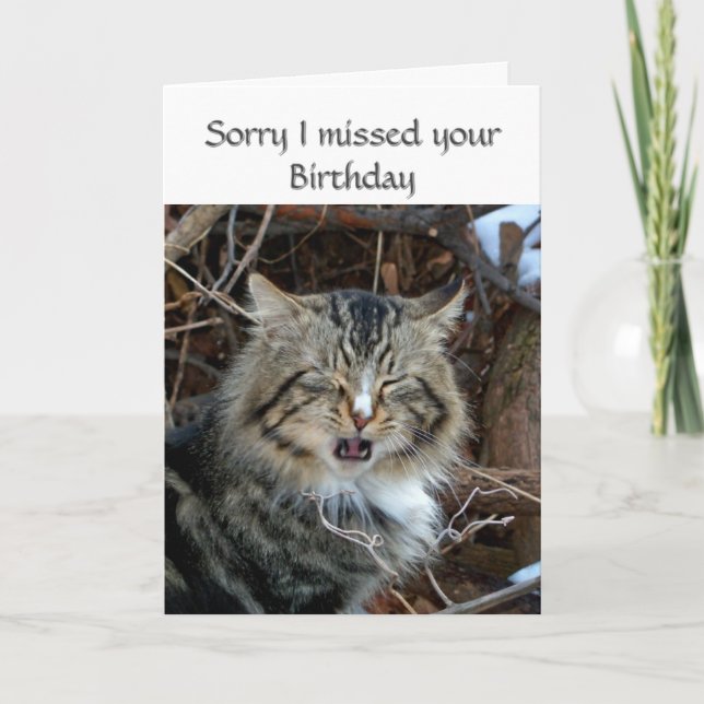 Carte de voeux photo de chat d'anniversaire manqué (Devant)
