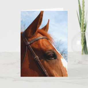 Carte de voeux photo de la tête du cheval