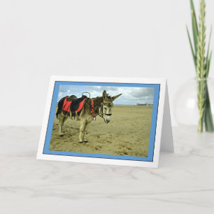 Carte de voeux photo Donkey