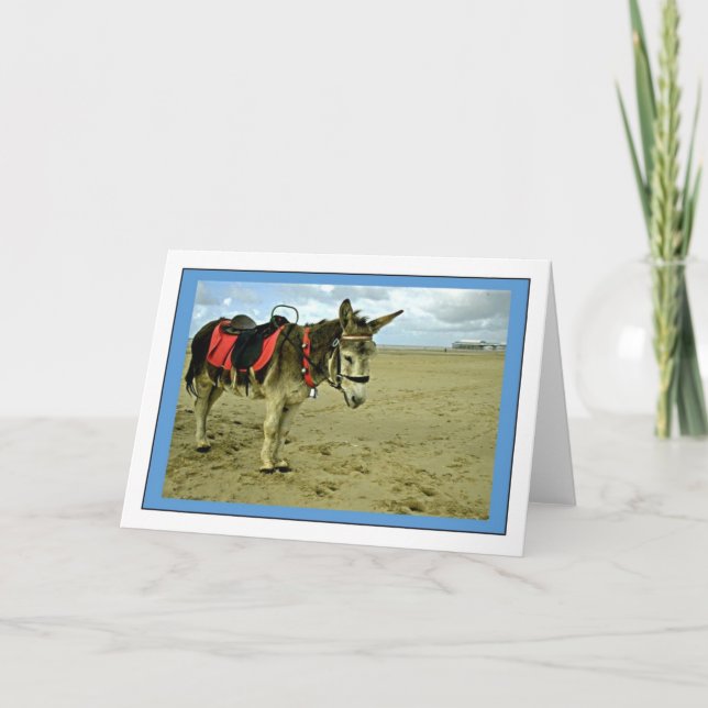 Carte de voeux photo Donkey (Devant)