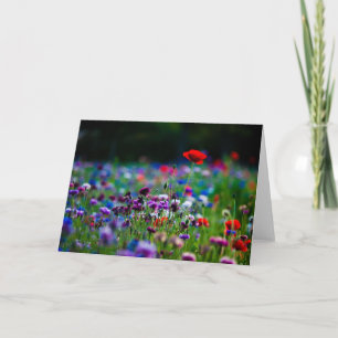 Carte de voeux photo Fleur sauvage colorée