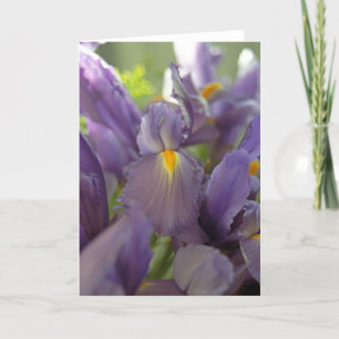Carte de voeux photo Purple Irises