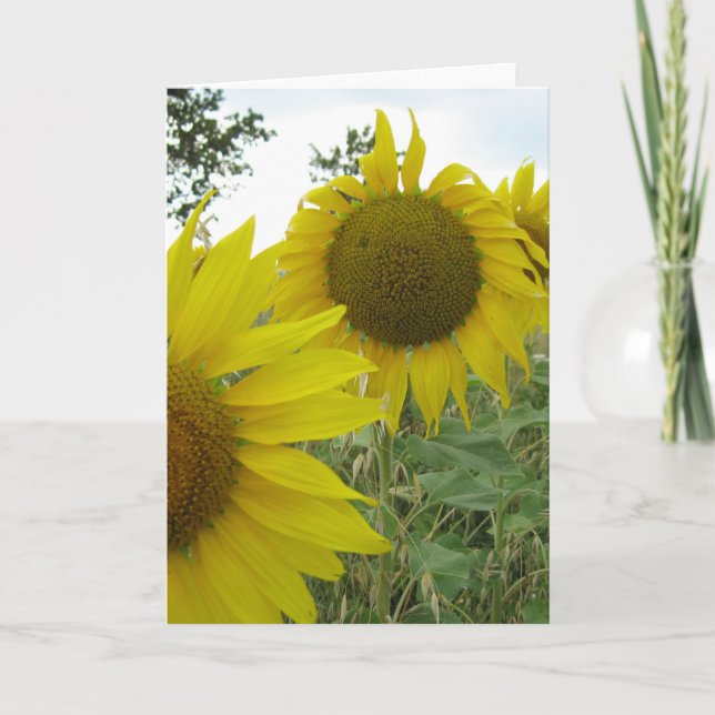 Carte de voeux photo Sunflower, Standard (Devant)