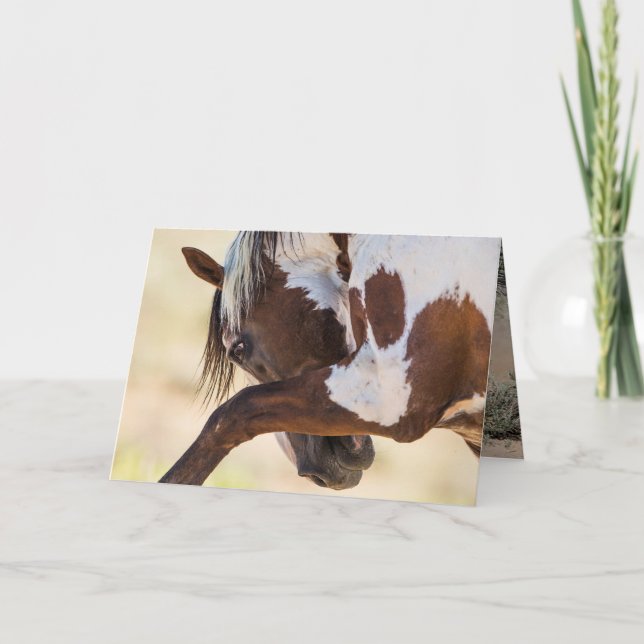 Carte de voeux Picasso Strikes Wild Horse (Devant)