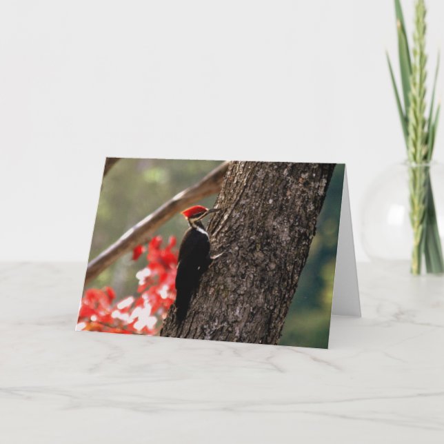 Carte de voeux Pileated Woodpecker (Devant)