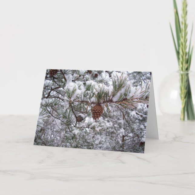 Carte de vœux - Pin hivernal (Devant)