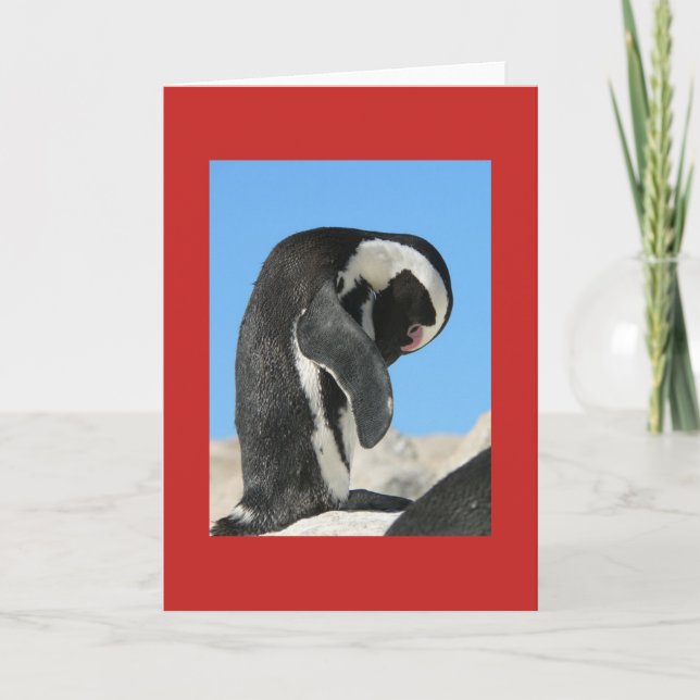 CARTE DE VŒUX PINGOUIN (NOËL) (Devant)