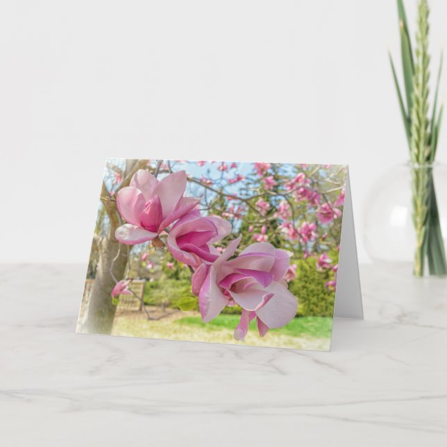 Carte de voeux Pink Magnolia Blossoms (Devant)