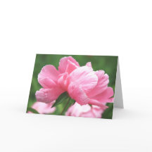 Carte de voeux Pink Peonies