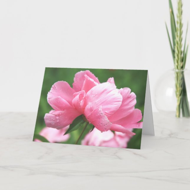 Carte de voeux Pink Peonies (Devant)